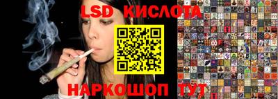 стафф Будённовск