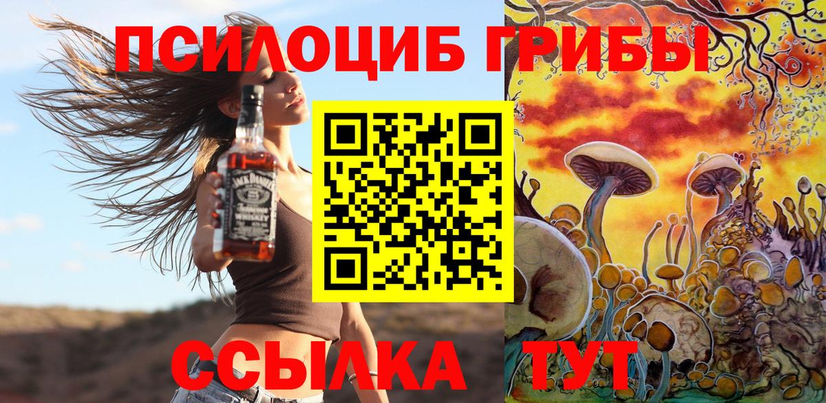 Псилоцибиновые грибы мицелий Курчатов