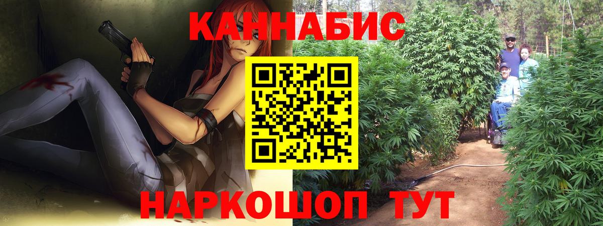 Конопля план  Шишки марихуана планчик  Курчатов  Бошки марихуана Bruce Banner  Вход с VPN 